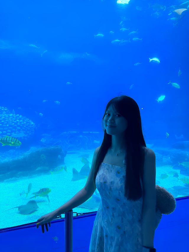 溜娃不流汗在大朗海之韵暑假避暑游