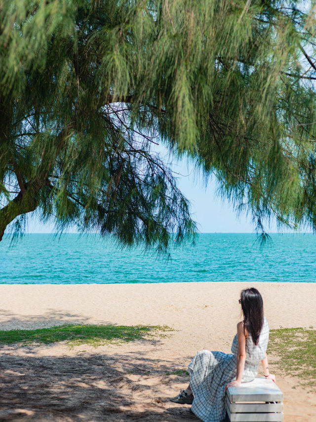 夏日夢中的果凍海，定屬於廈門黃厝環島路