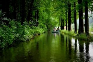 Chasing Summer | The Last Holiday, Water Forest Parks Around Shanghai