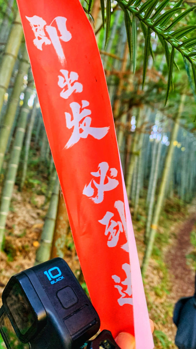寧波周邊｜仙居公盂村徒步，有山有水有竹林