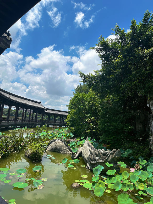 貴港東湖公園，簡簡單單的幸福