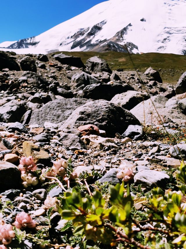 走近阿尼瑪卿雪山/青南川西甘南行（四）