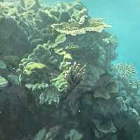 海之蒼穹