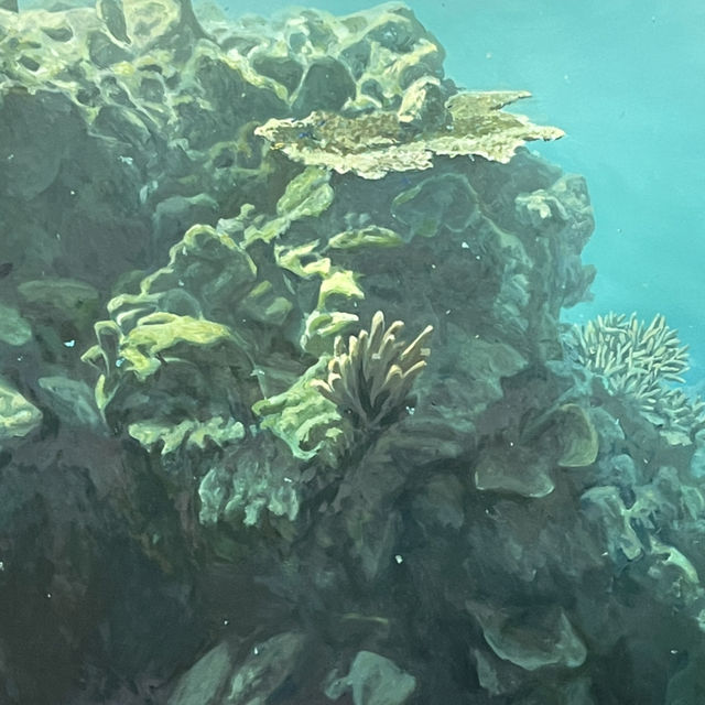 海之蒼穹