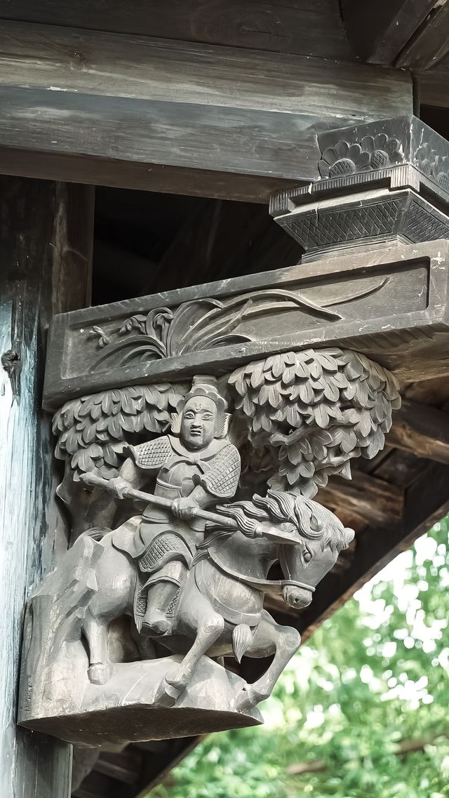 梅花洲怎麼變成綠野仙蹤了。