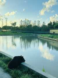 夜遊上海野生動物園