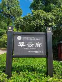 廣元劍閣翠雲廊｜揭秘古蜀道的神秘力量。