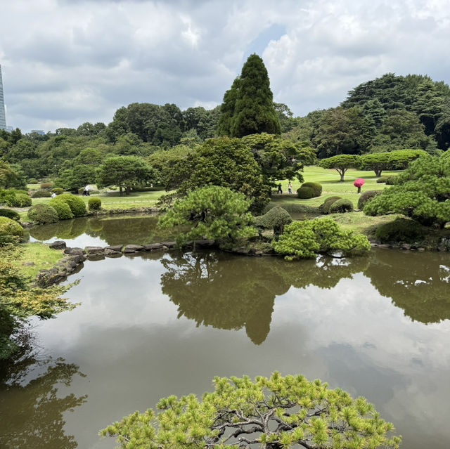【東京旅行】新宿御苑-庭園寧靜時光与霓虹繁華景
