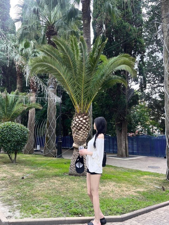【索契 | 黑海明珠的夢幻之旅】。