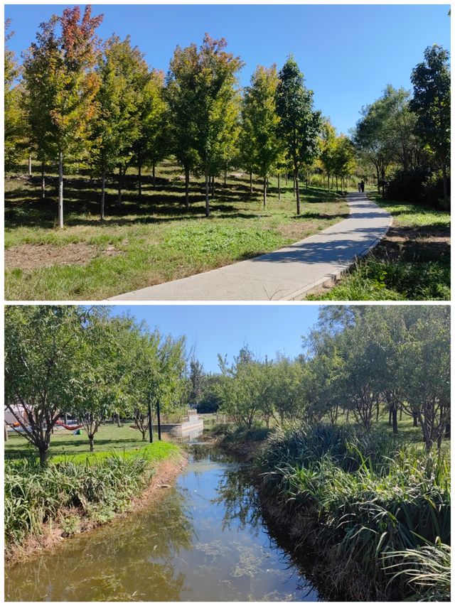 南囿秋風·南苑森林濕地公園。