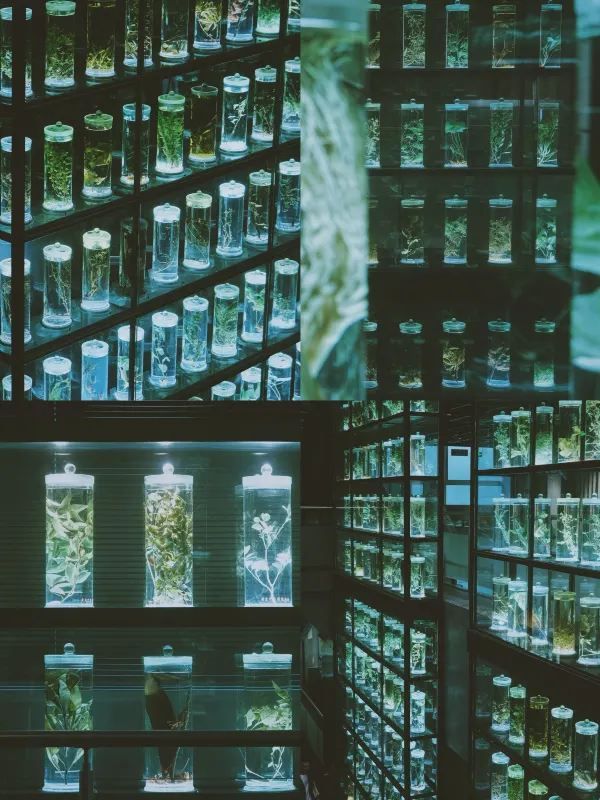 一定是廣州夢核感最強的博物館❗📸