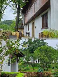 我要向全世界推薦九華山文宗古村酒店。