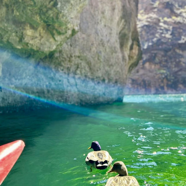 Lake mead kayaking Day 