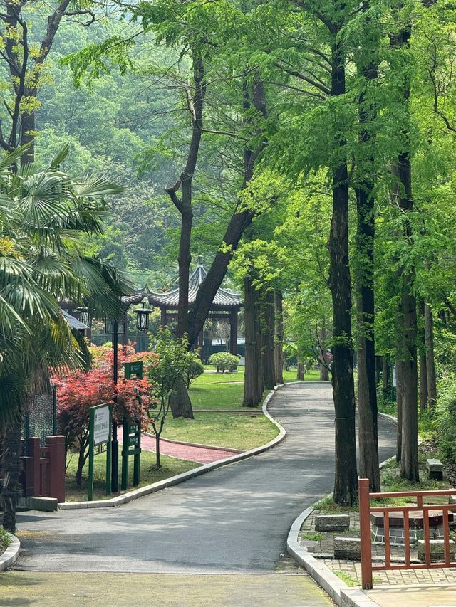 董寨國家級自然保護區：鳥類天堂。