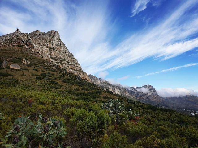 Table Mountain National Park 遊玩攻略。