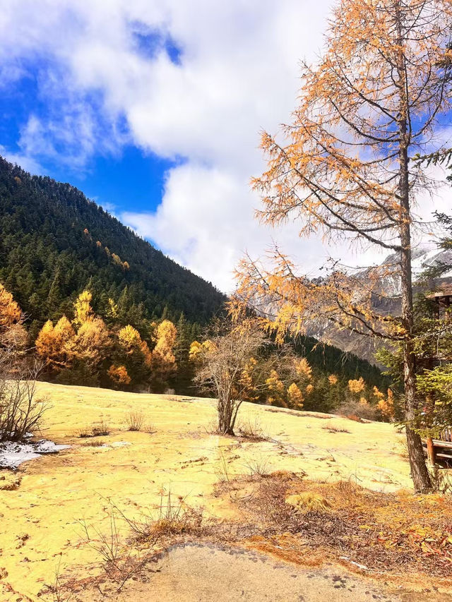 Exploring Huanglong Scenic Area: A Natural Wonder
