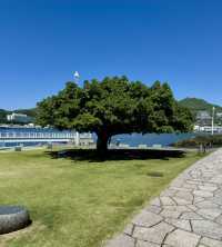 日本長崎水邊之森公園。