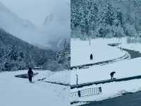 11.4實況 | 下雪的畢棚溝美到 Next level。