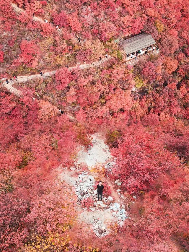 這裡像是上帝打翻的顏料盤，好美呀。