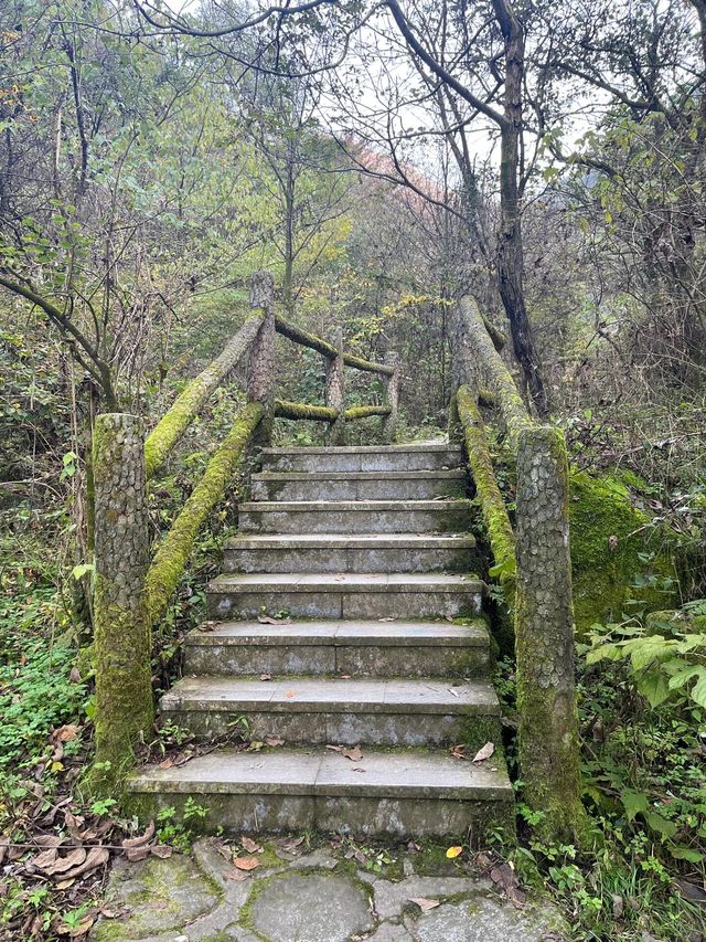 祥峪森林公園|小眾景點|體驗感好。 祥峪森林公園|小眾景點|體驗感好。