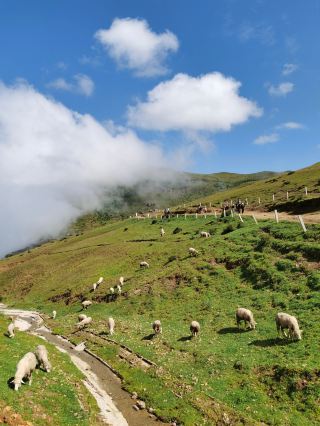 5-Day Autumn Trip to Zhaotong: Miss It and Wait a Year!