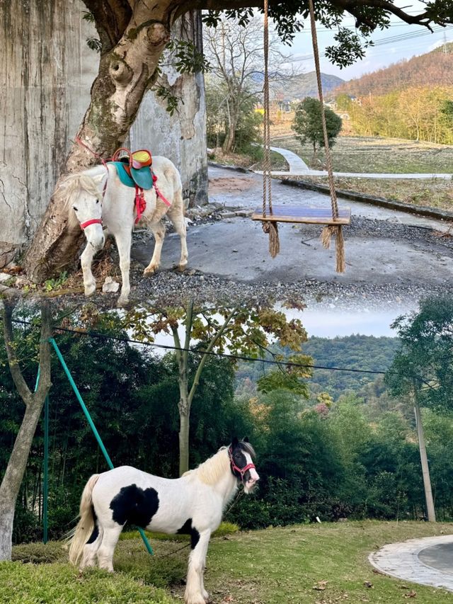 江浙滬1小時直達！！！安吉治癒度假 . 私湯溫泉。