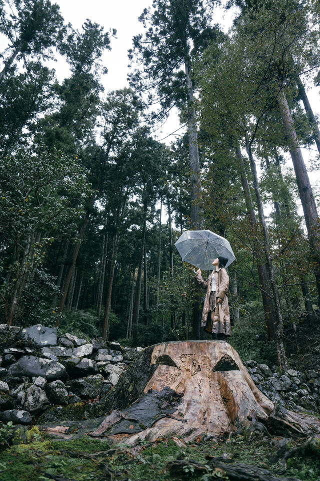 紅葉還未全盛，雨天也等不及飛到京都。