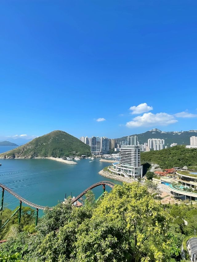 一起去看海。
