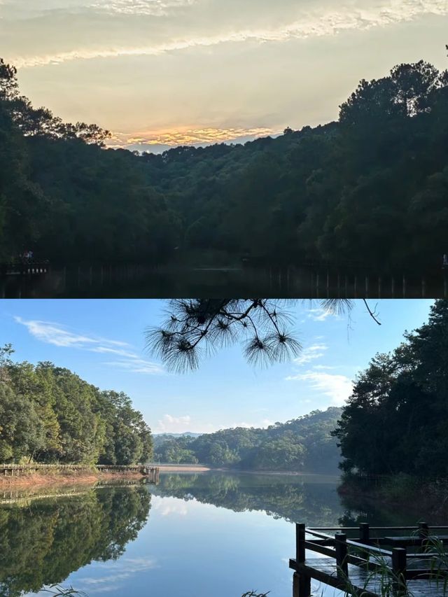 普洱的璀璨明珠——梅子湖公園。
