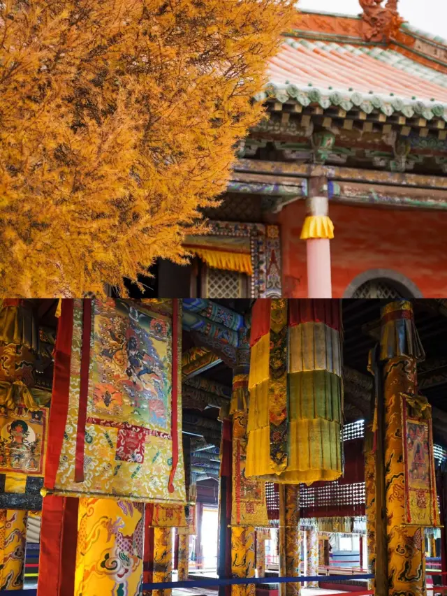 三天兩夜——阜新之旅，你不可錯過的完美攻略！。
