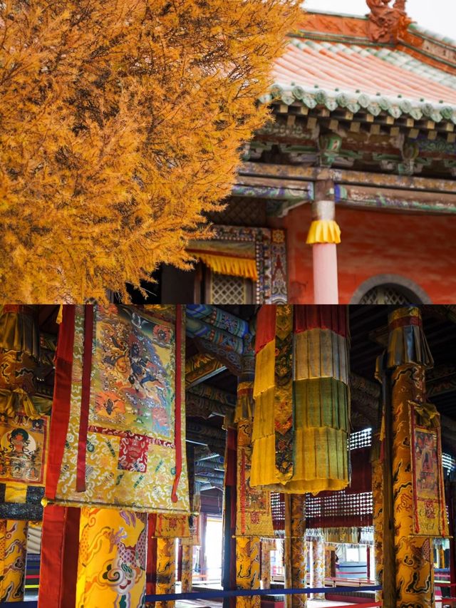 三天兩夜——阜新之旅，你不可錯過的完美攻略！。