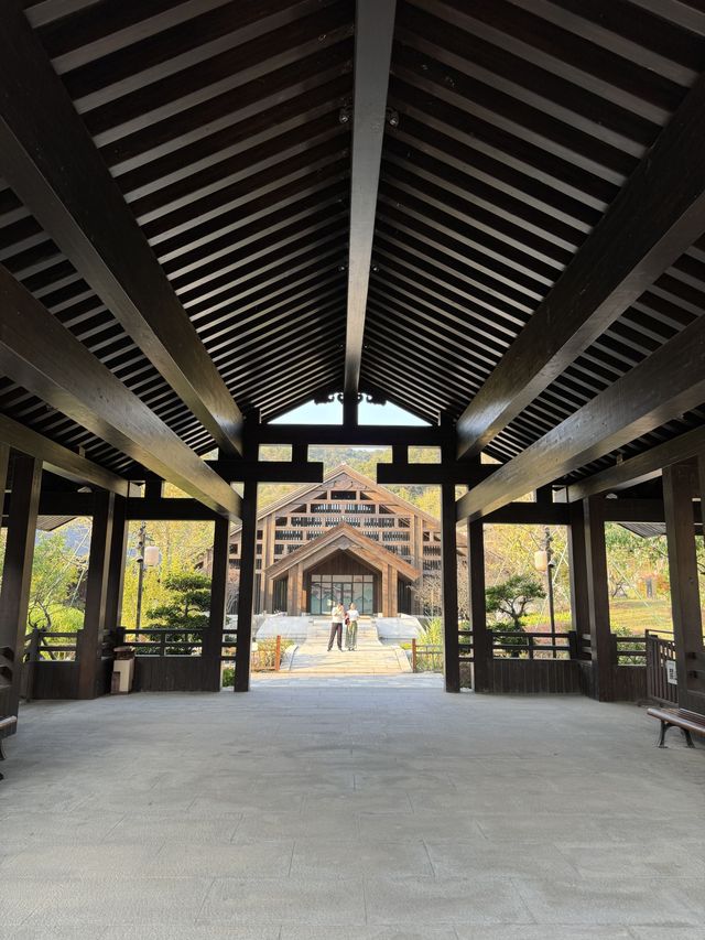 黃岡黃梅東山問梅村。