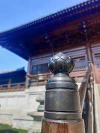 虔誠一日遊。