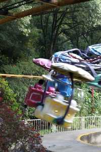 溫州動物園像坐上了去往90年代的穿梭機。