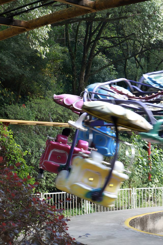 溫州動物園像坐上了去往90年代的穿梭機。