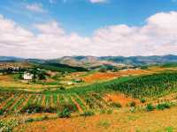Amaxing Colors of Dongchuan: Mesmerizing Landscape