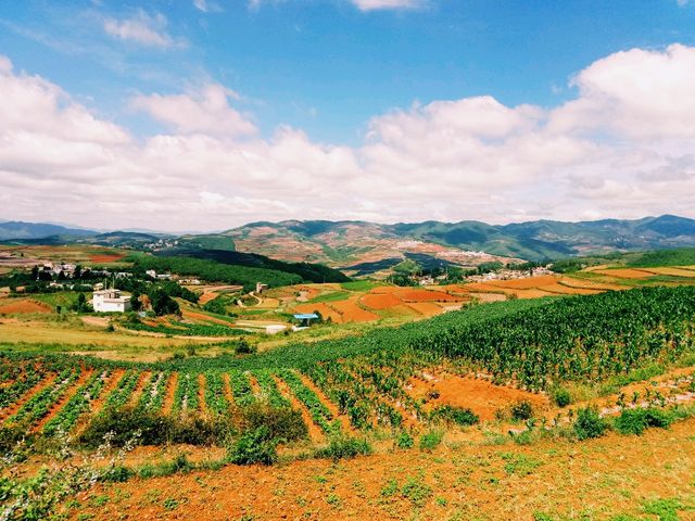 Amaxing Colors of Dongchuan: Mesmerizing Landscape