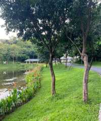 大運自然公園|我要曝光這個寶藏公園