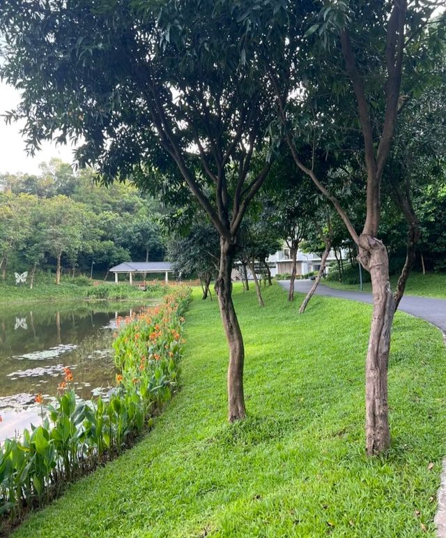 大運自然公園|我要曝光這個寶藏公園