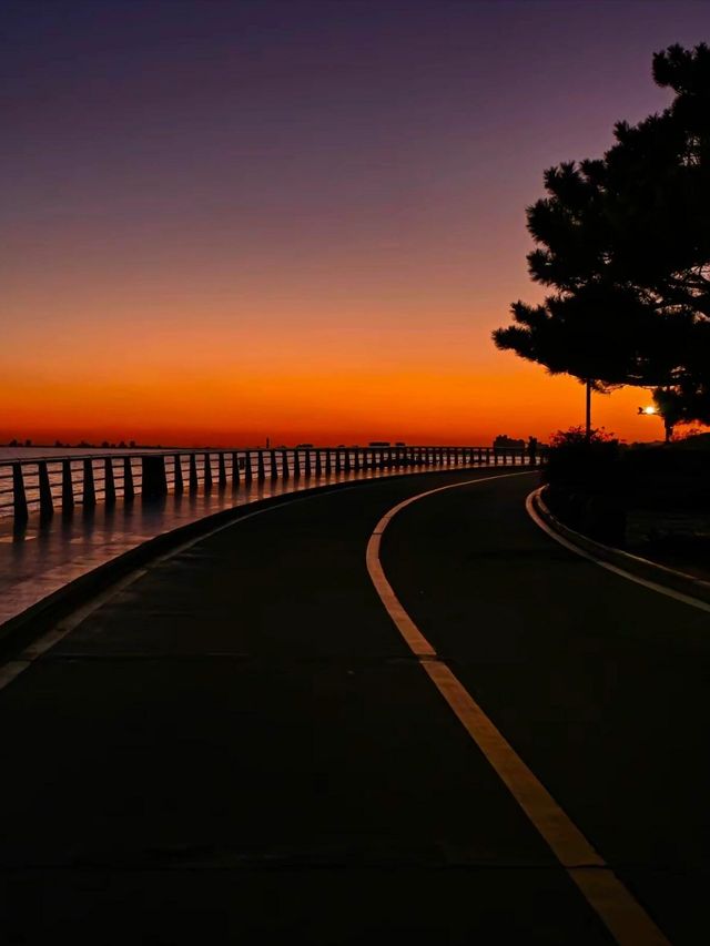 "去北戴河看一場海鷗·日落的浪漫電影"