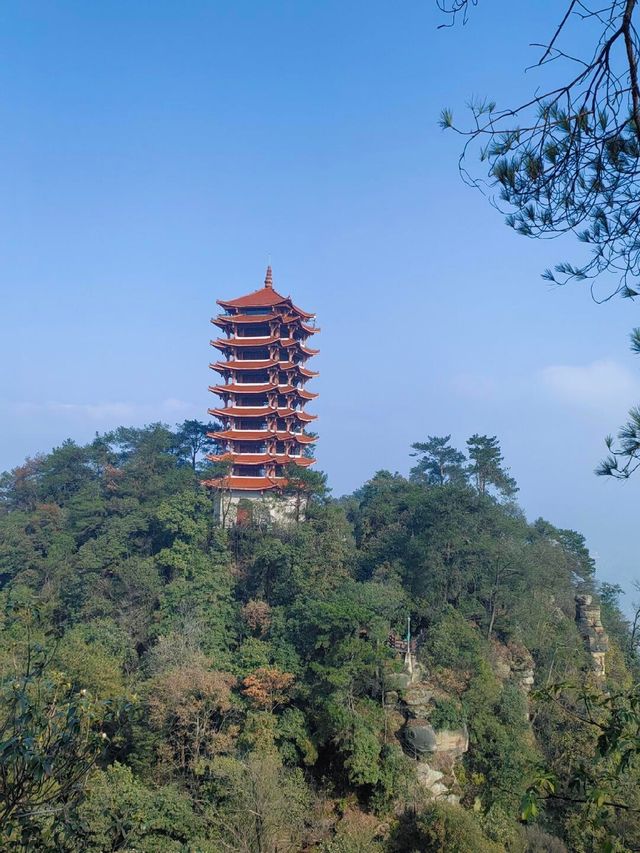 重慶徒步|縉雲山一日遊