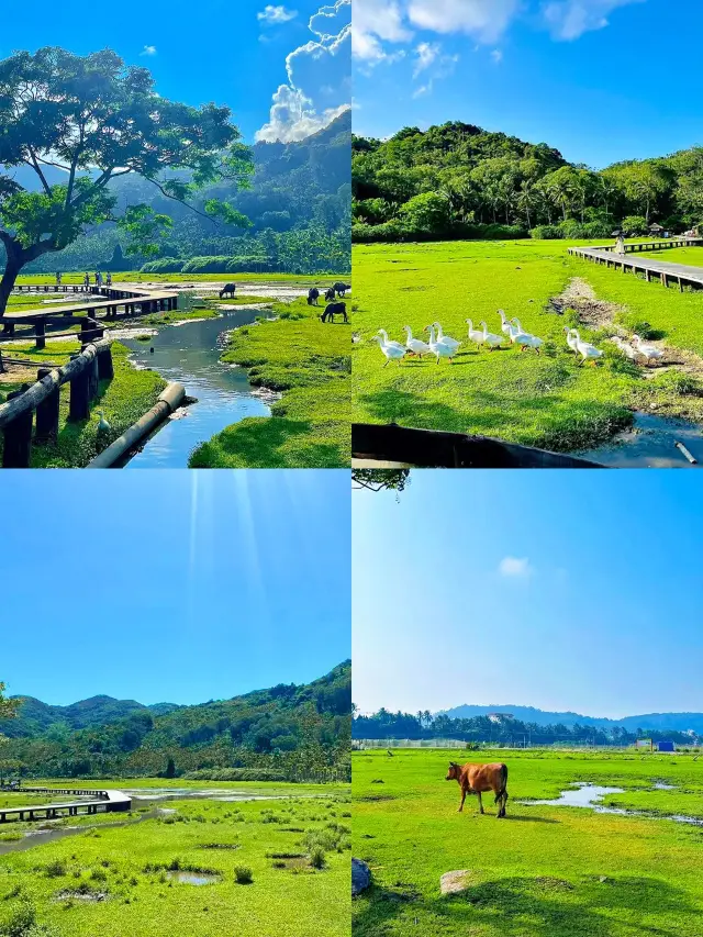 万宁で年越し5日間の旅 オフシーズンの旅行におすすめ