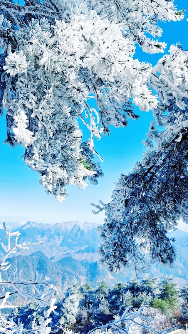 我肯定這是我最滿意的一次旅行