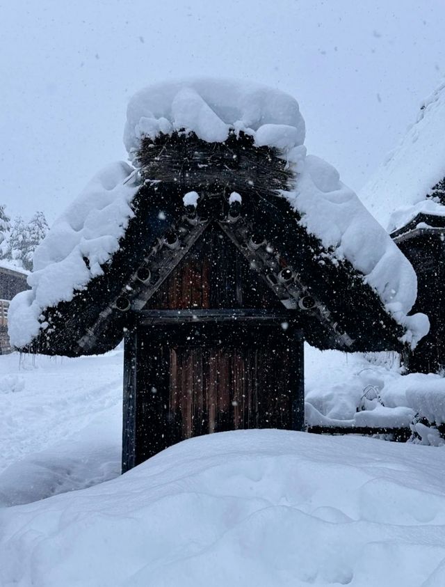 名古屋：古都之韻，現代之魅的交融之城