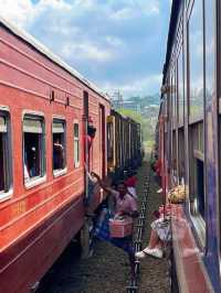 冬季反向遊 | 斯里蘭卡必體驗，高山茶園火車之旅！