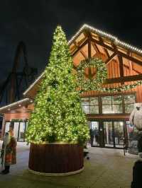 Toronto Wonderland Winterfest is as Beautiful as a Fairy Tale 🎄