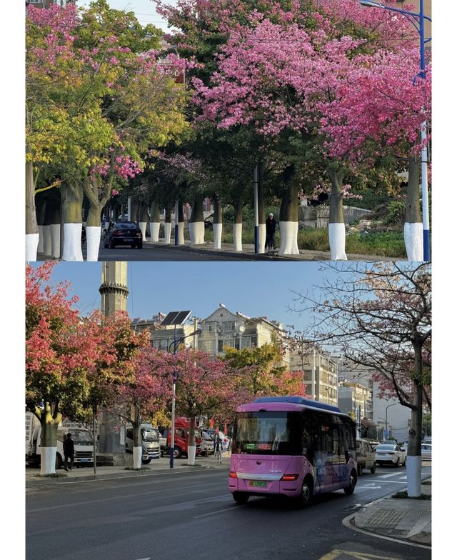 攀枝花的旅遊日記
