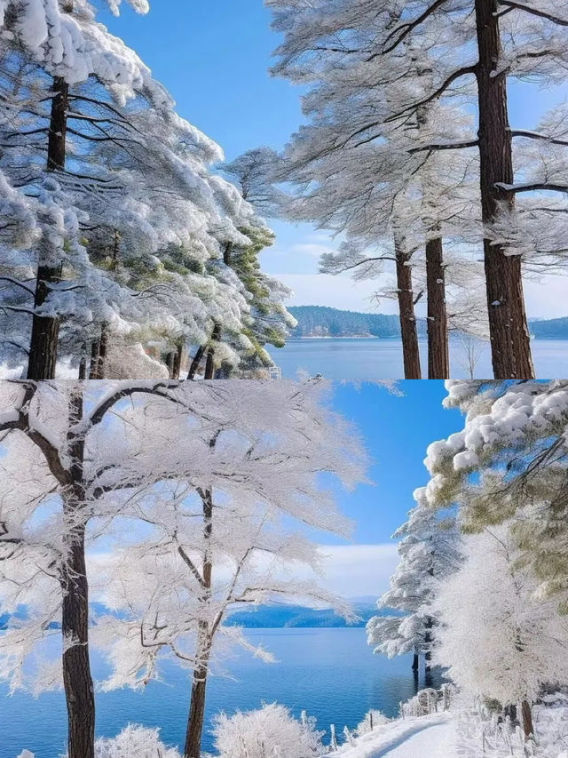 寶貝，答應我冬天一定要去一次鏡泊湖