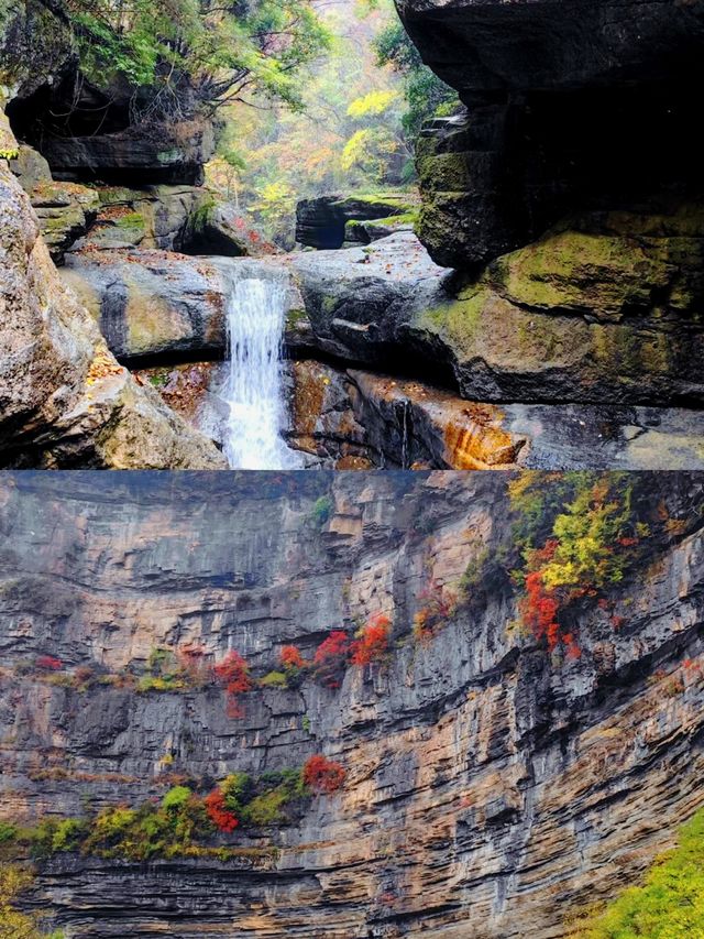 探秘四川米倉山大峽谷，峽谷奇觀等你來發現！