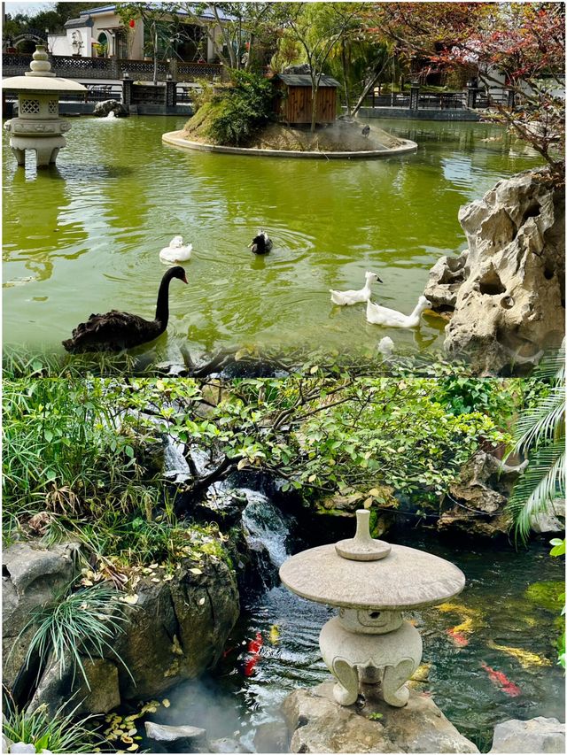 湛江之旅 跟想像中大不一樣